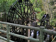 -大屏嶂森林公园