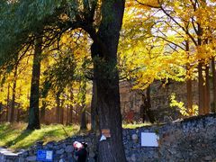 -阳台山自然风景区