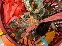 -船奇蒸汽海鲜·闽菜(八市海鲜总店)