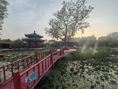 -曹州牡丹园
