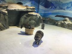 -华夏文旅海洋公园