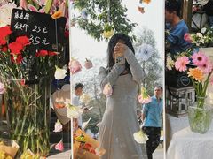 -南宁良凤江国家森林公园