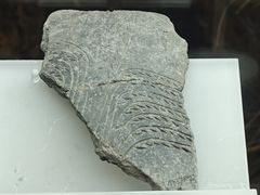 -河姆渡遗址博物馆