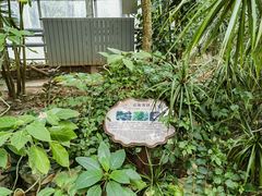 -南山植物园