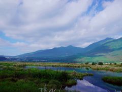 -腾冲北海湿地