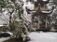 -浙江西子宾馆·瑶园咖啡厅