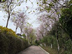 -广州莲花山旅游区