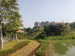 -王借岗森林公园