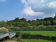 -白鹭湾湿地公园