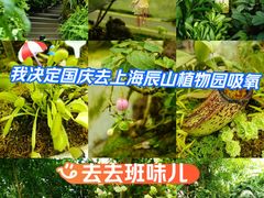 -上海辰山植物园