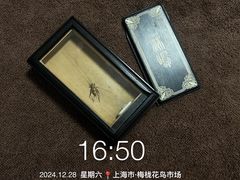 -梅陇花鸟市场-停车场