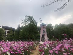 -清远熹乐谷温泉度假酒店