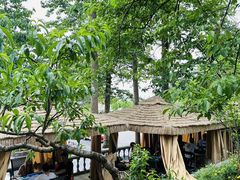 -桃源山庄·水蜜桃采摘·柴火鸡·烧烤团建(龙泉山店)