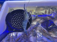 -澜悦港海鲜体验主题餐厅