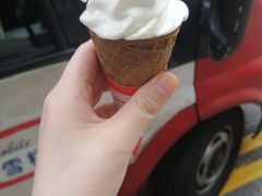 -富豪雪糕车流动点(尖沙咀店)