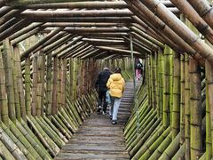 -水墨汀溪风景区