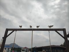 -海驴岛(荣成市)