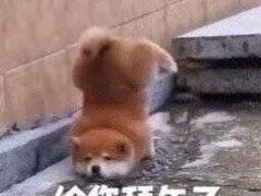 -麦当劳(杭州西湖银泰百货店)