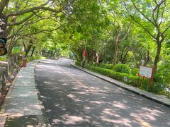 -水濂山森林公园