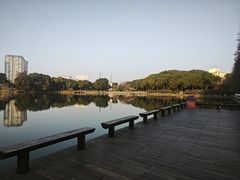 -圩墩遗址公园