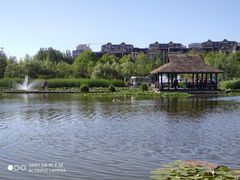 -前关湿地公园