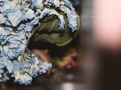 -5号KTV音乐广场(天通苑店)