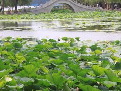 -长春市南湖公园