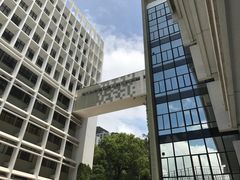 -香港大学