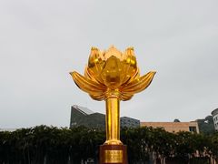 -金莲花广场