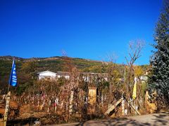-长虫山生态公园风景林