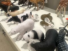 -上海书城(福州路店)