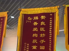 -中农国际动物医院24小时·猫科·骨科·急重症中心
