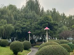 -长白岛森林公园