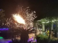 -东南花都花博园