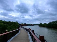 -东寨港红树林旅游区