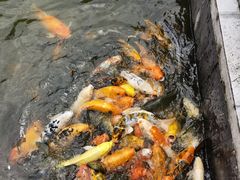 -珠海圆明新园
