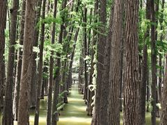 -采石矶景区