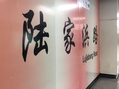 -陆家浜路(地铁站)