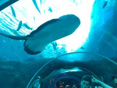 -新加坡海洋生态馆