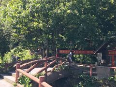 -藏龙百瀑风景区