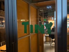 -TINY