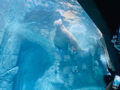 -哈尔滨波塞冬海底世界