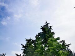 -东升八家郊野公园