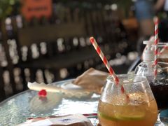 -柴犬高等学院·狗咖·柴犬售卖·宠物训练