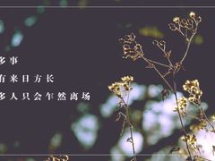 -临泉大地影城(大润发店)