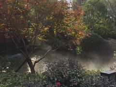 -正荣国领