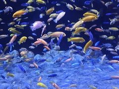 -成都浩海立方海洋公园