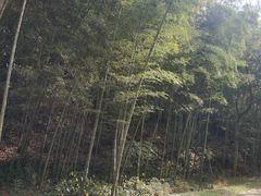 -黄公望隐居地