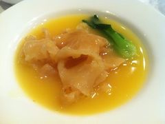 浓汤鱼肚-福1039(愚园路店)