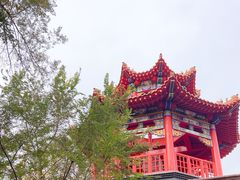 -哈尔滨极乐寺